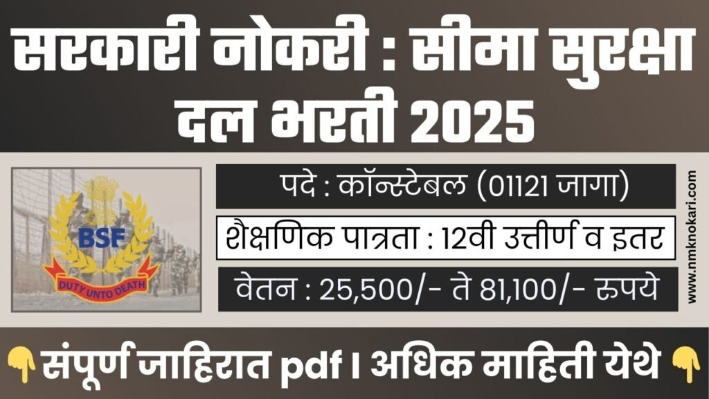 BSF BHARTI 2025